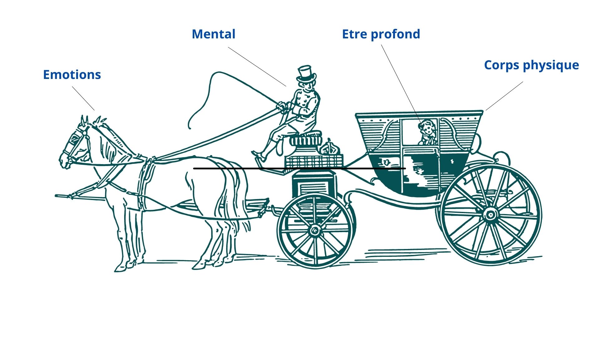 caleche cocher chevaux émotions mental être intérieur